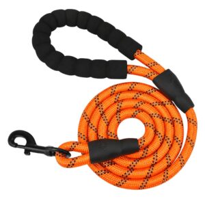 Correa Reflectante Panykoo Para Perros De 1,52cm Con Asa Acolchada